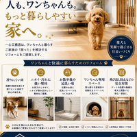 画像278